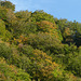 20241013 Rando Col de Bes (Cévennes) (66)