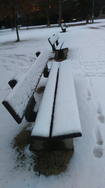 Personne sur les bancs publics aujourd'hui cause neige...