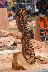 The Carrbridge World Chainsaw Carving Championship 2018