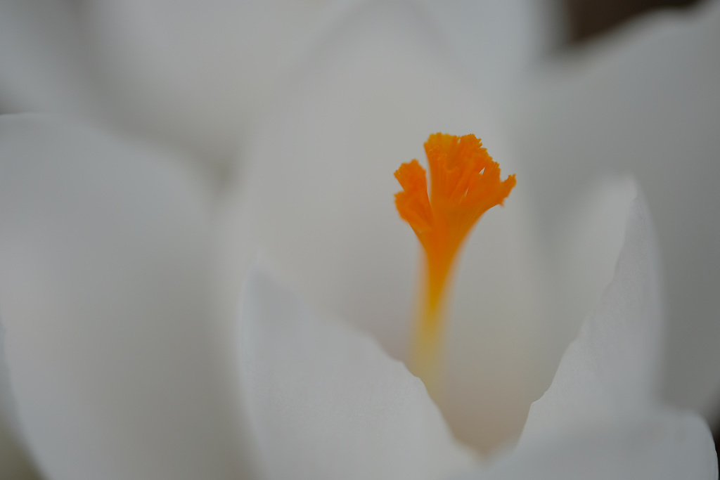 DSCF3310