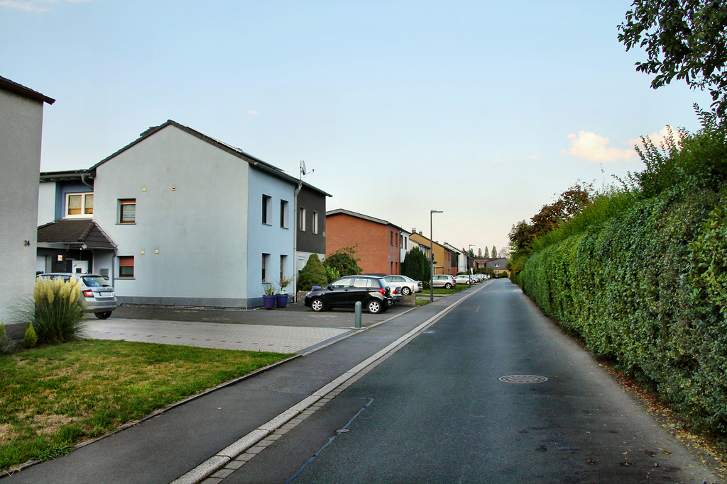 Stiegenweg (Dortmund-Deusen) / 31.08.2019