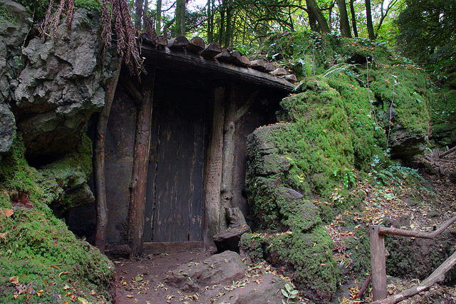 Puzzlewood