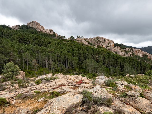 CORSICA - Le Lion