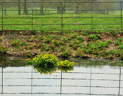 Grid, Pistol Pond, Hare Hill