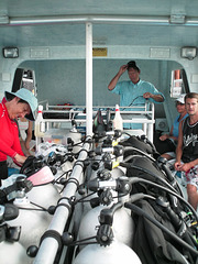 PICT0281.JPG