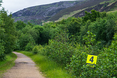 4 Miles to the tunnels