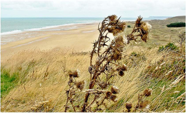 ... plage ...