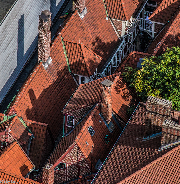 Roofscape - Dachlandschaft