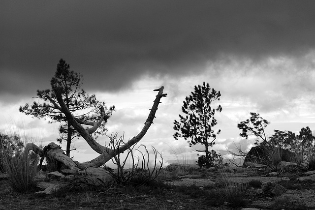 Serra da Estrela  BW