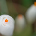 DSCF3316