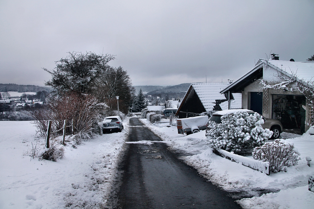 Ochsenkamp (Sprockhövel-Herzkamp) / 15.01.2024