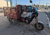 Chat motocycliste en sieste / Cat's nap on motorbike