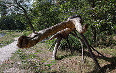 20140911 5143VRAw [NL] Krokodil mit Schlange, Skulptur, Terschelling