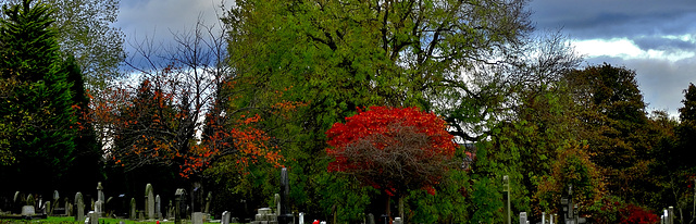 Wallsend Cemetery