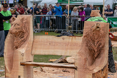 The Carrbridge World Chainsaw Carving Championship 2018