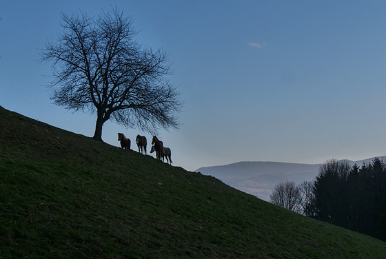 là-haut dans la montagne...