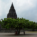 Indonesia, Java, In the Temple Compound of Prambanan