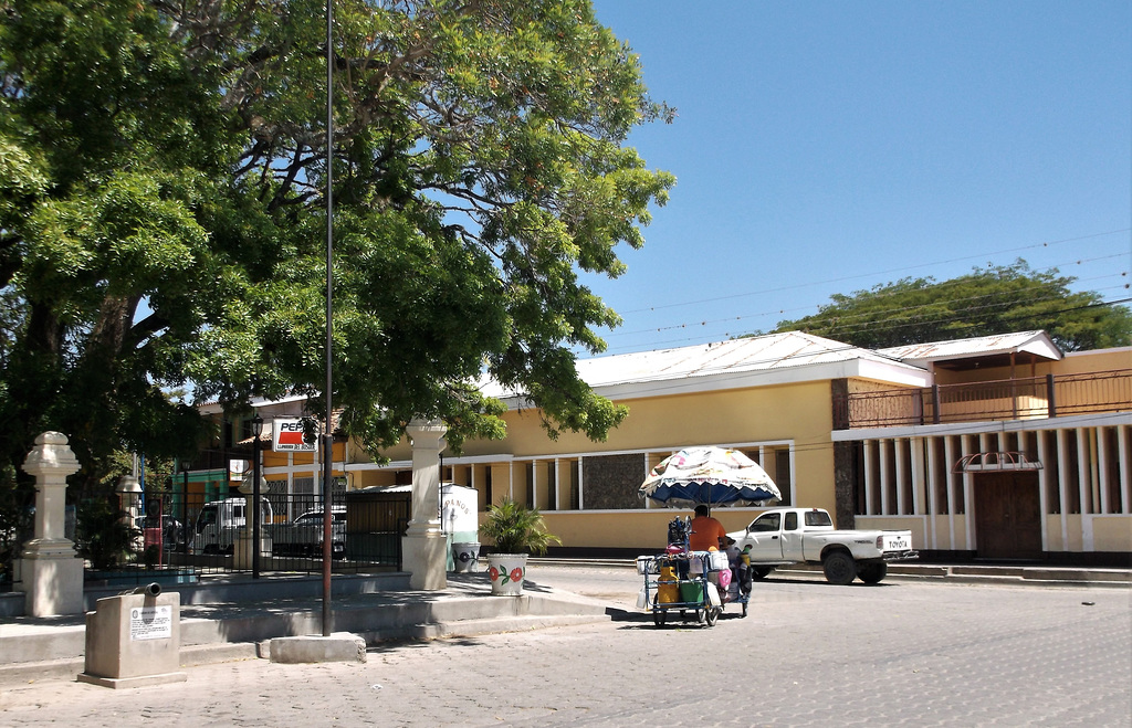 Pepsi camouflé dans feuillage nicaraguayen