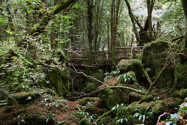 Puzzlewood