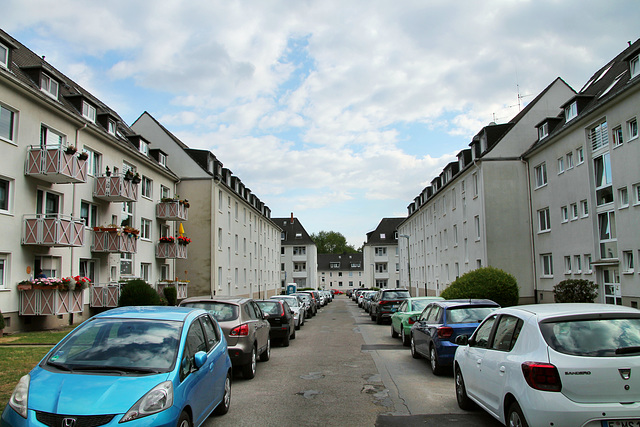 Overathstraße (Siedlung Pottgießerhof, Essen-Frohnhausen) / 30.08.2020