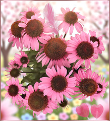 i love Pink ❤