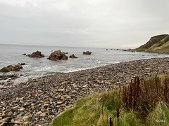 View from the Coastal Trail between Cullen and Findlater Castle