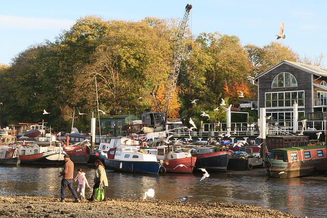 IMG 0469-001-Eel Pie Island 1