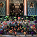 PXL 20240929 093224934-001-Dahlia Display 1