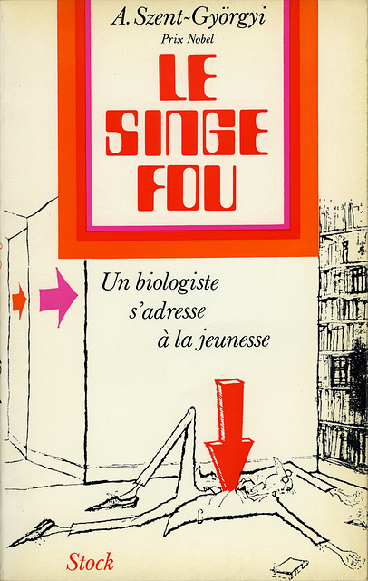 Singe-fou001