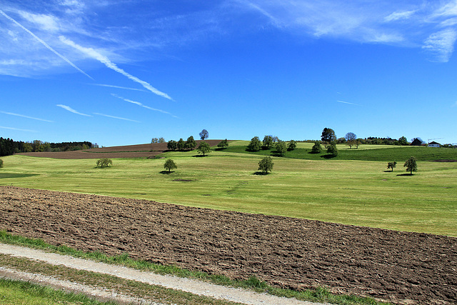 Oberschwäbische Landschaft