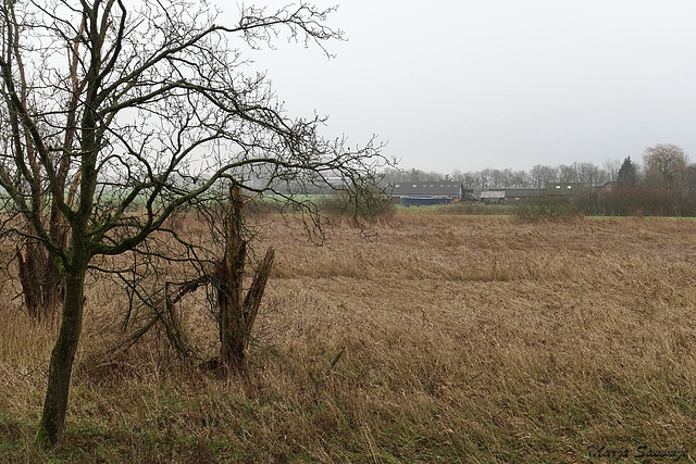 Nieuwendijk uitzicht Brakel