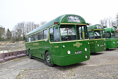 sbgbapr162023 (1024)
