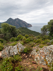 CORSICA - Monte Senino