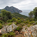 CORSICA - Monte Senino
