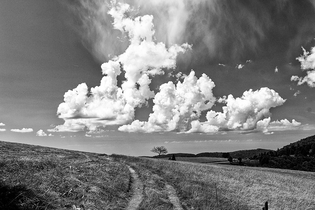 Prémices d'orage sur les crêtes vosgiennes
