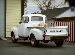 1953 Chevy