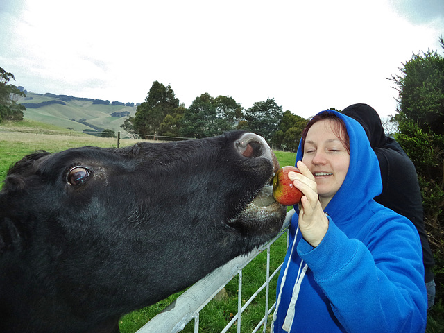 Martha loves apples