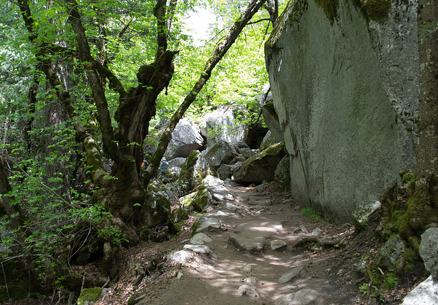 Yosemite Mirror Lake trail (#0573)