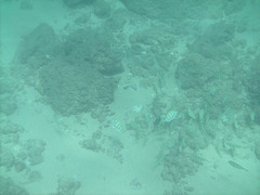 PICT0272.JPG