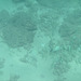 PICT0272.JPG