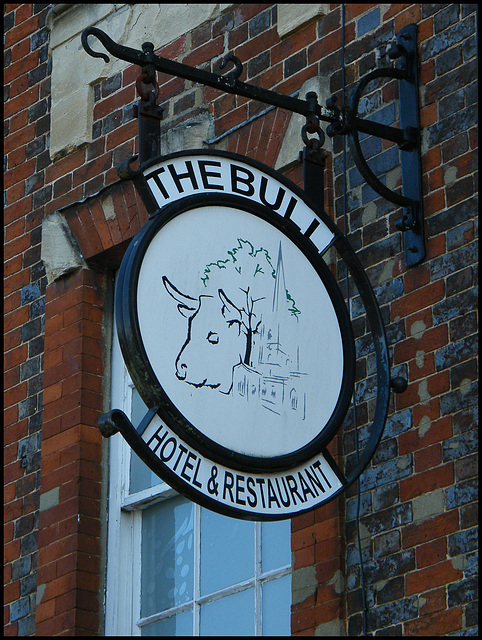 boring Bull pub sign