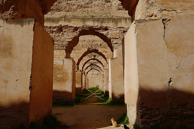 MEKNÈS