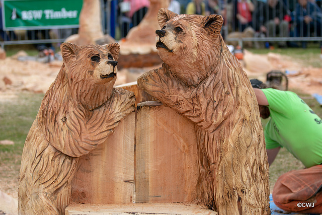 The Carrbridge World Chainsaw Carving Championship 2018