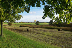 Zicht op Brakel