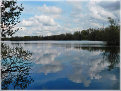 Reflets à l'étang de Bétineuc (22) avec notes