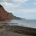 Red Sandstone Cliffs At Sidmouth