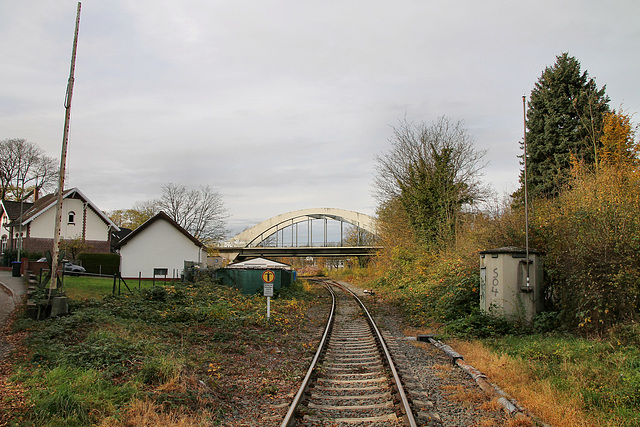 Ruhrtalbahn (Witten-Herbede) / 6.11.2021