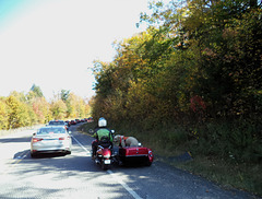 Un chien motocycliste en vue / A sweet dog in his side-car