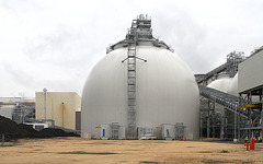 Biomass inside