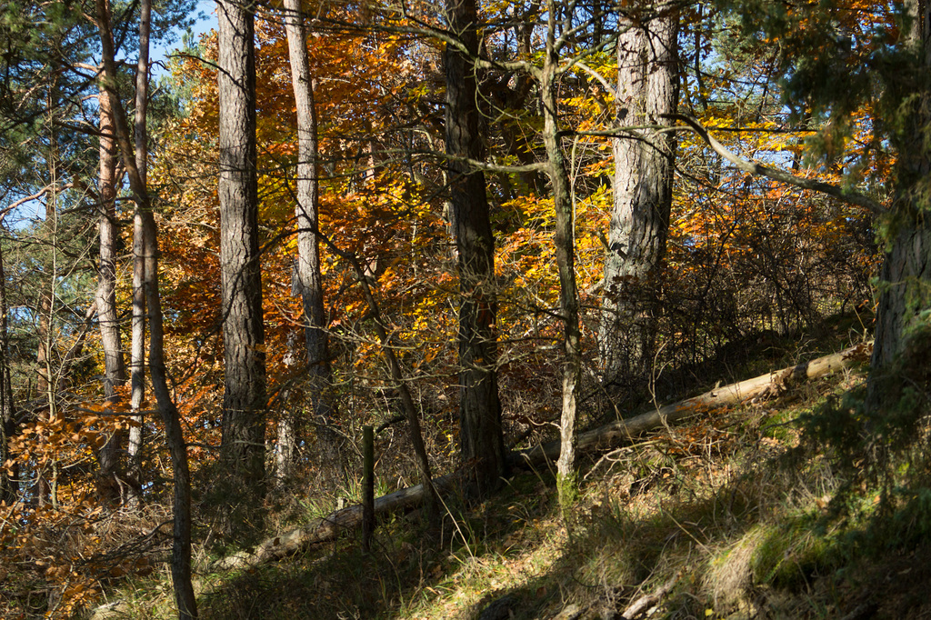 Eifel - Blankenheim Ahrdorf